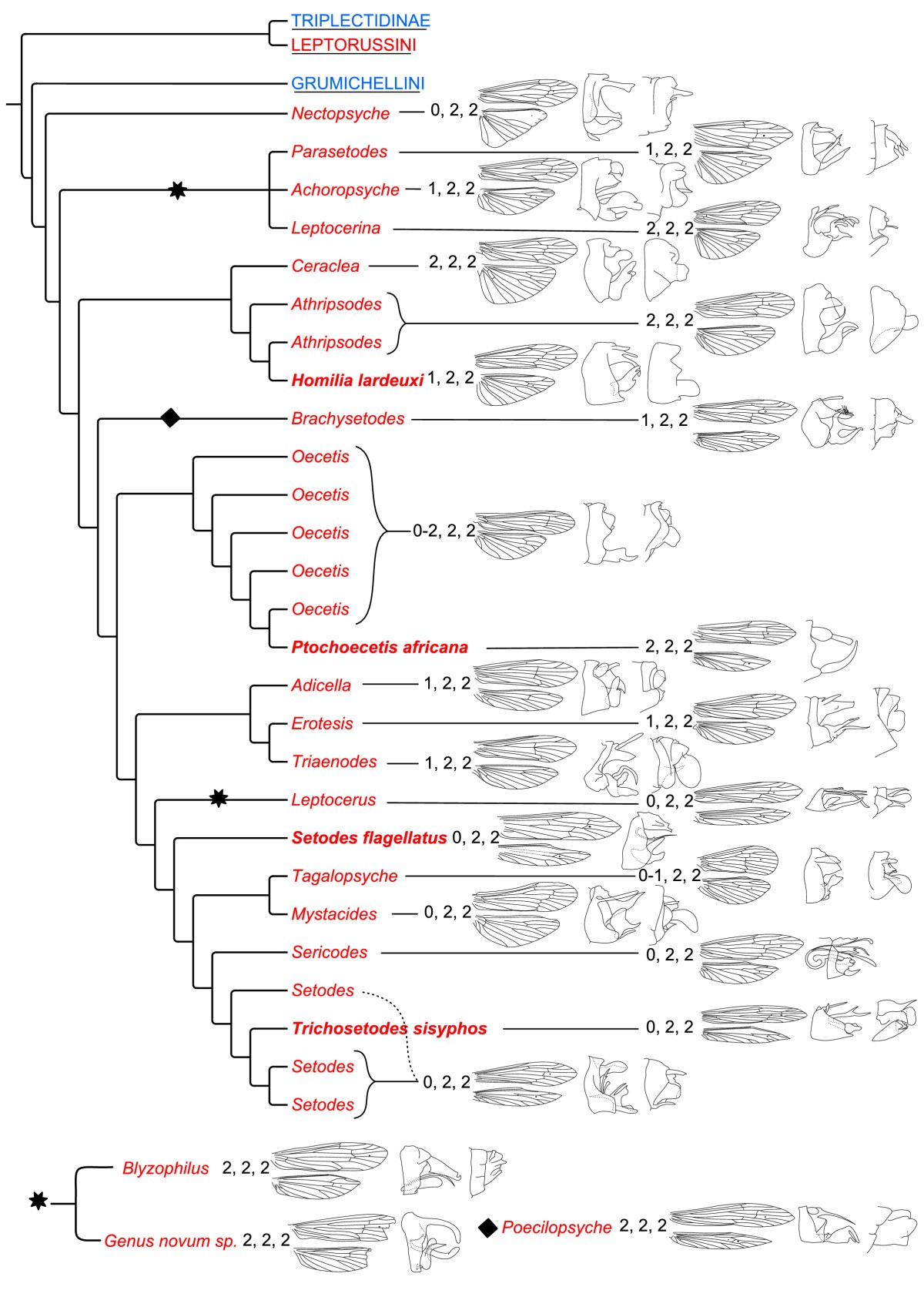 A new classification of the longhorned caddisflies (Trichoptera