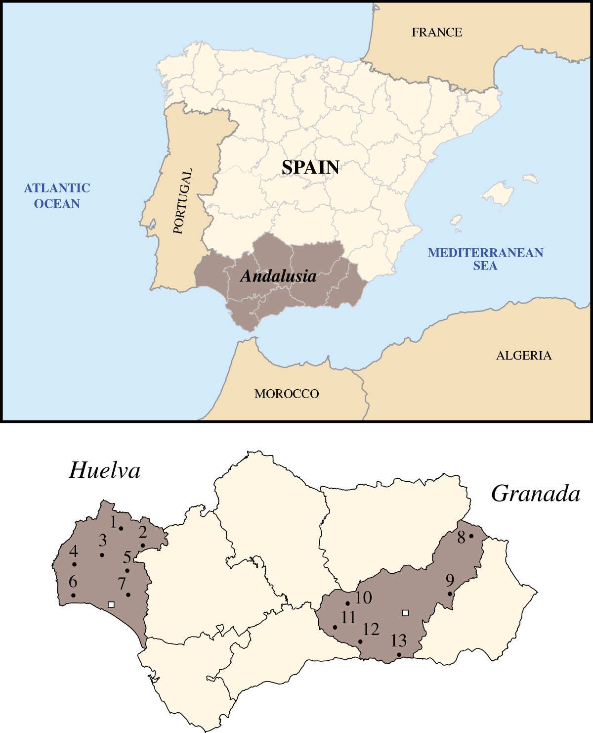 Human maternal heritage in Andalusia (Spain): its composition reveals ...