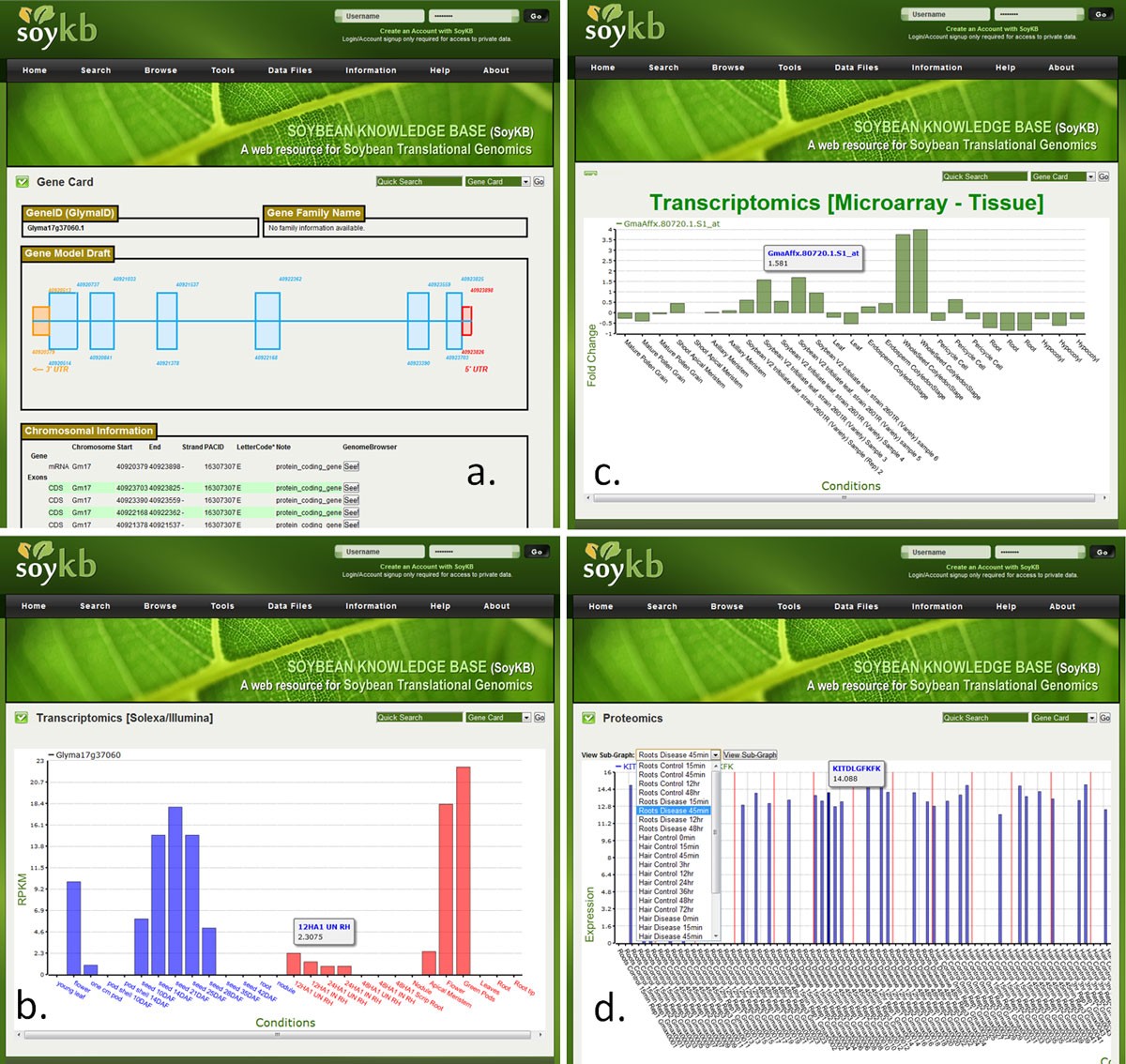 Soybean Knowledge Base (SoyKB) a web resource for soybean
