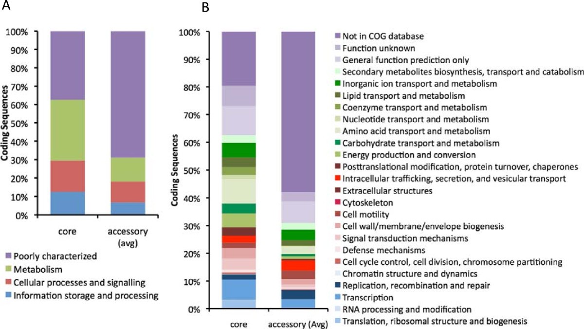 Characterization of the core and accessory genomes of Pseudomonas