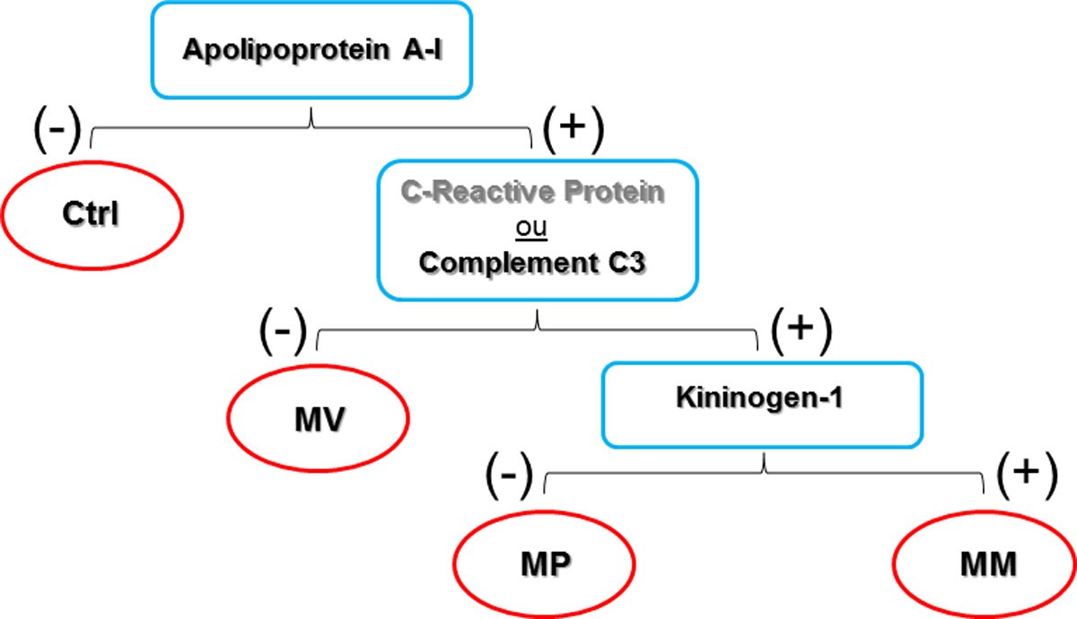 Comparative proteomics of cerebrospinal fluid reveals a predictive model for differential
