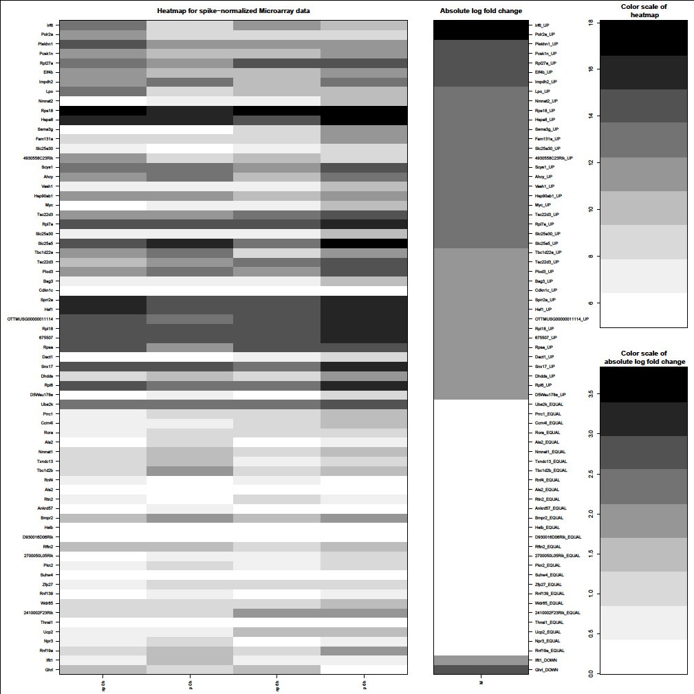 heatmap log2 polysome changes and translational in messages Novel heatmap log2 polysome changes and translational in messages Novel