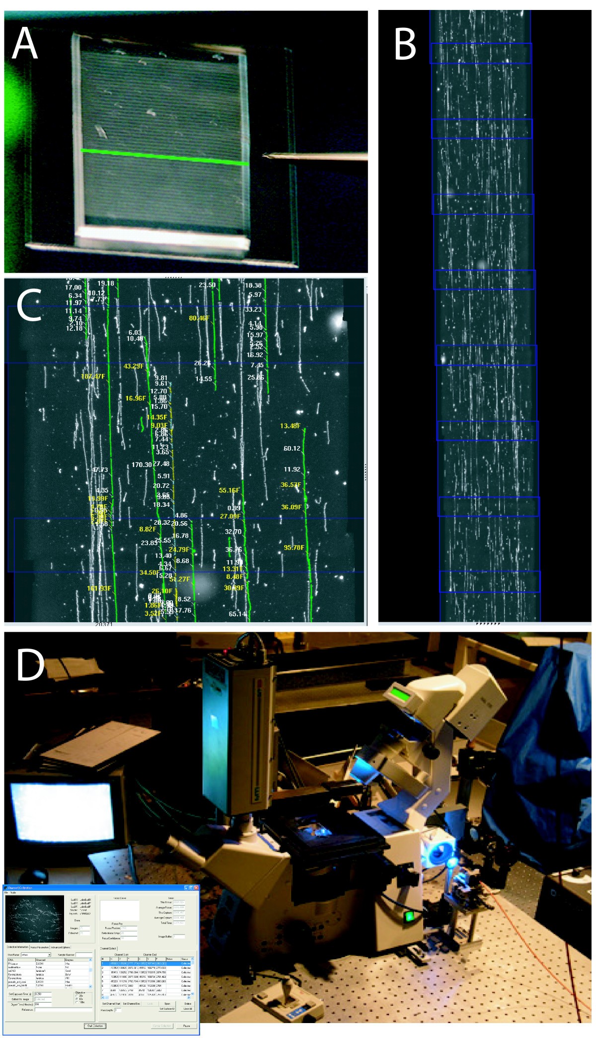 Optical mapping discerns genome - 12867 2008 Article 325 Fig1 HTML 