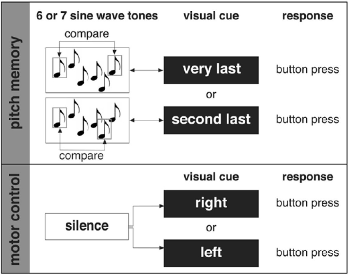 Perceiving pitch absolutely Comparing absolute and relative pitch