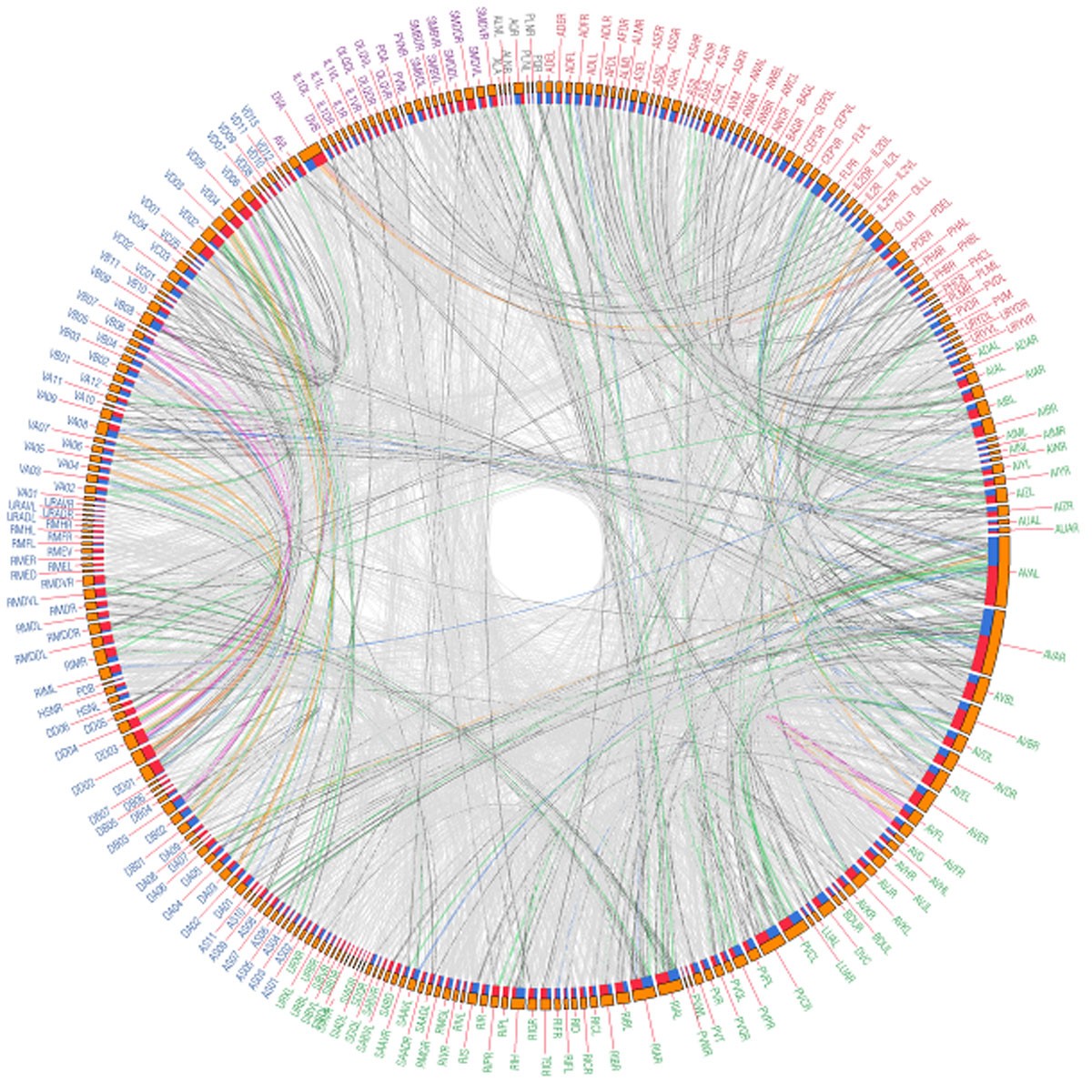 Lethality Of Complex Neuronal Network In Caenorhabditis