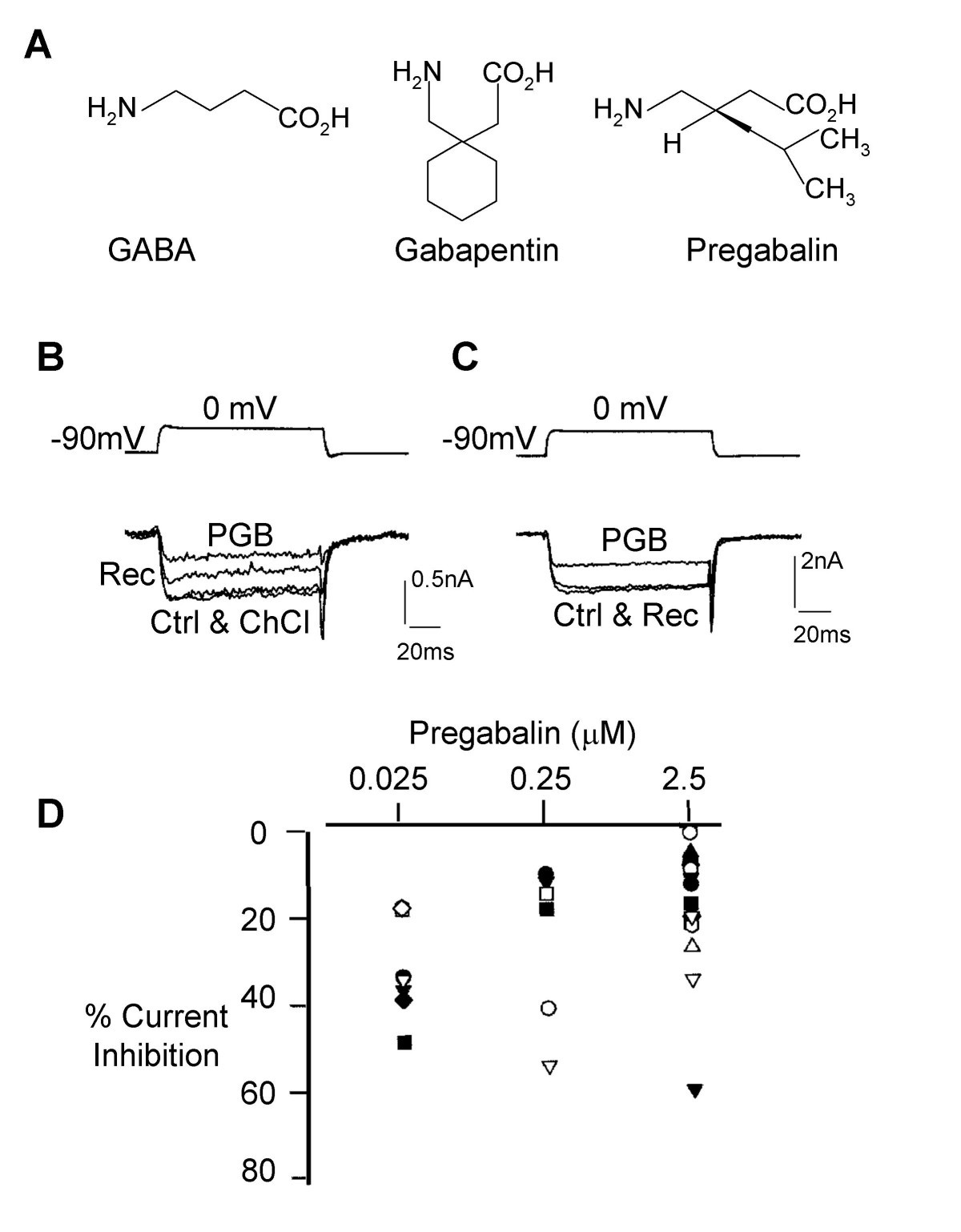 mechanism of action of gabapentin and pregabalin