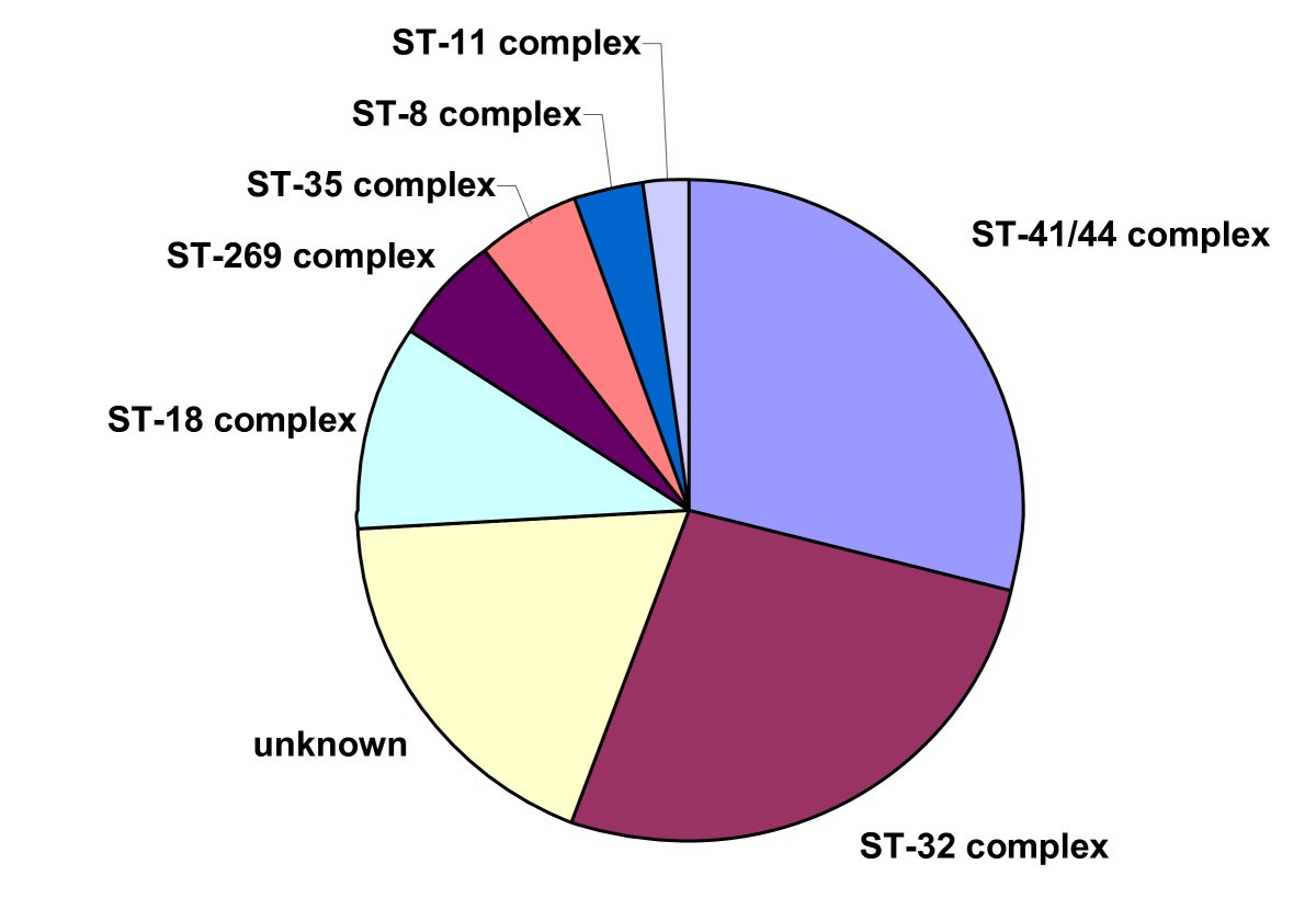 The elusive meningococcal meningitis serogroup a systematic review of