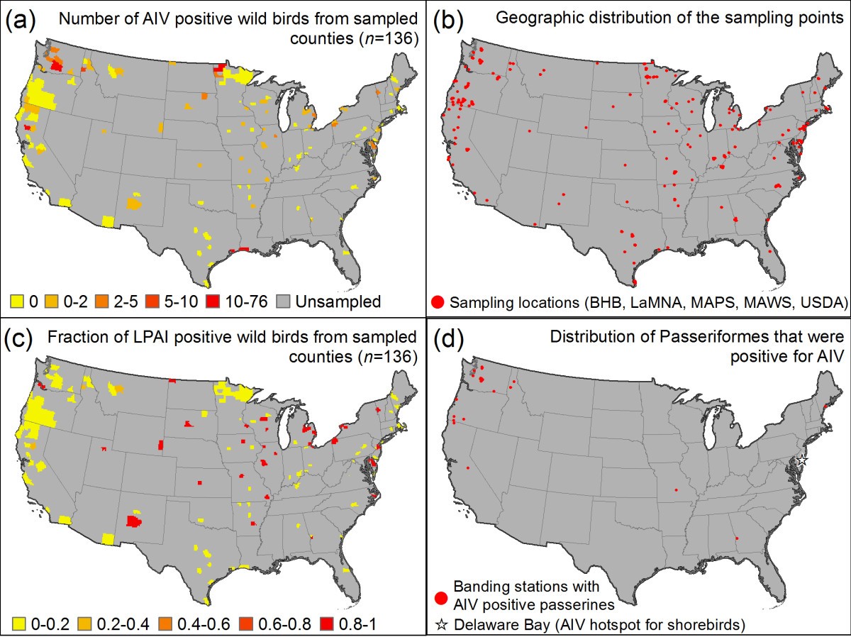 Mapping the risk of avian influenza in wild birds in the US BMC