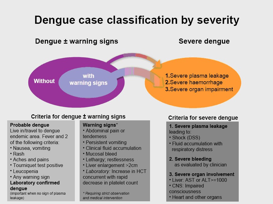 dengue fever syndrome case study scribd