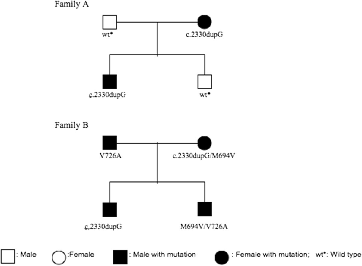 A novel insertion mutation identified in exon 10 of the MEFV gene