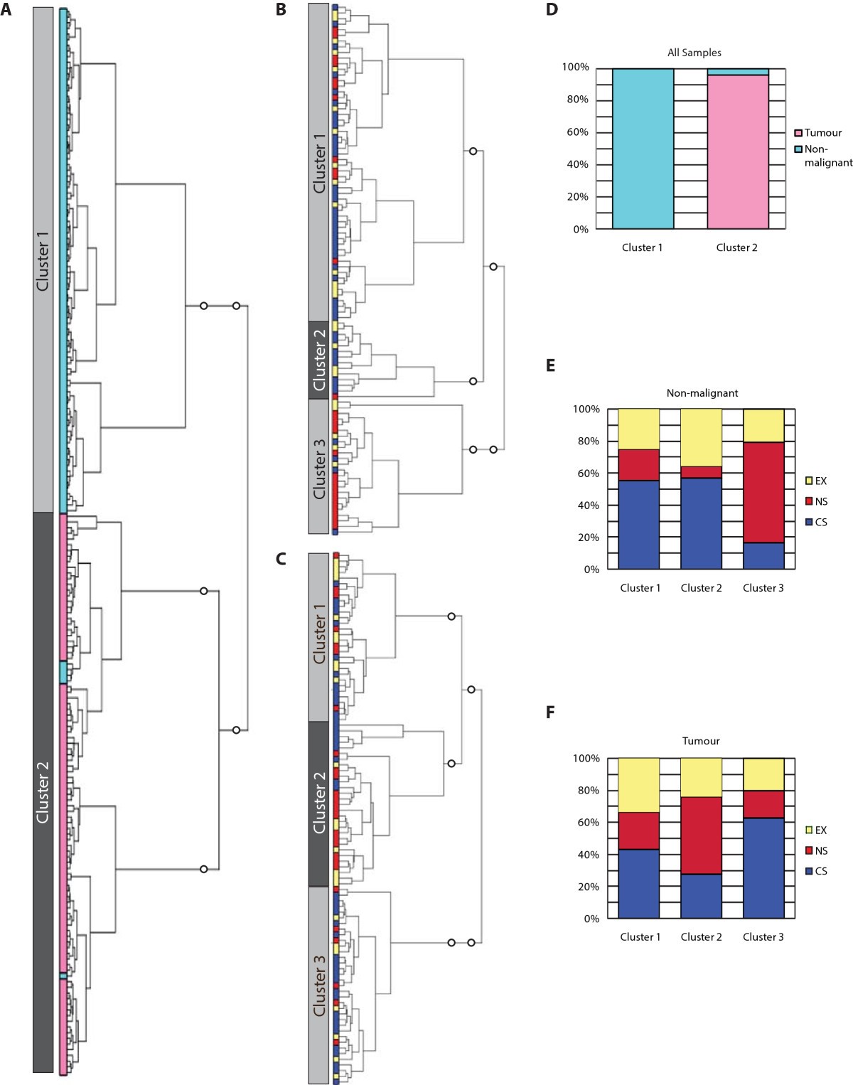 Smoking status impacts microRNA mediated prognosis and lung