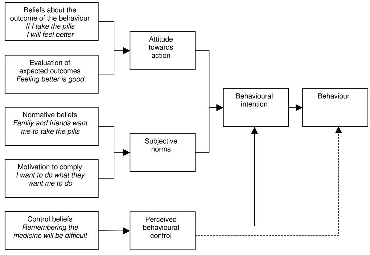 A review of health behaviour theories how useful are 