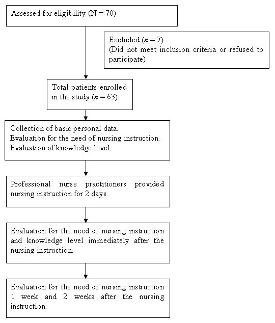 The need for nursing instruction in patients receiving steroid pulse