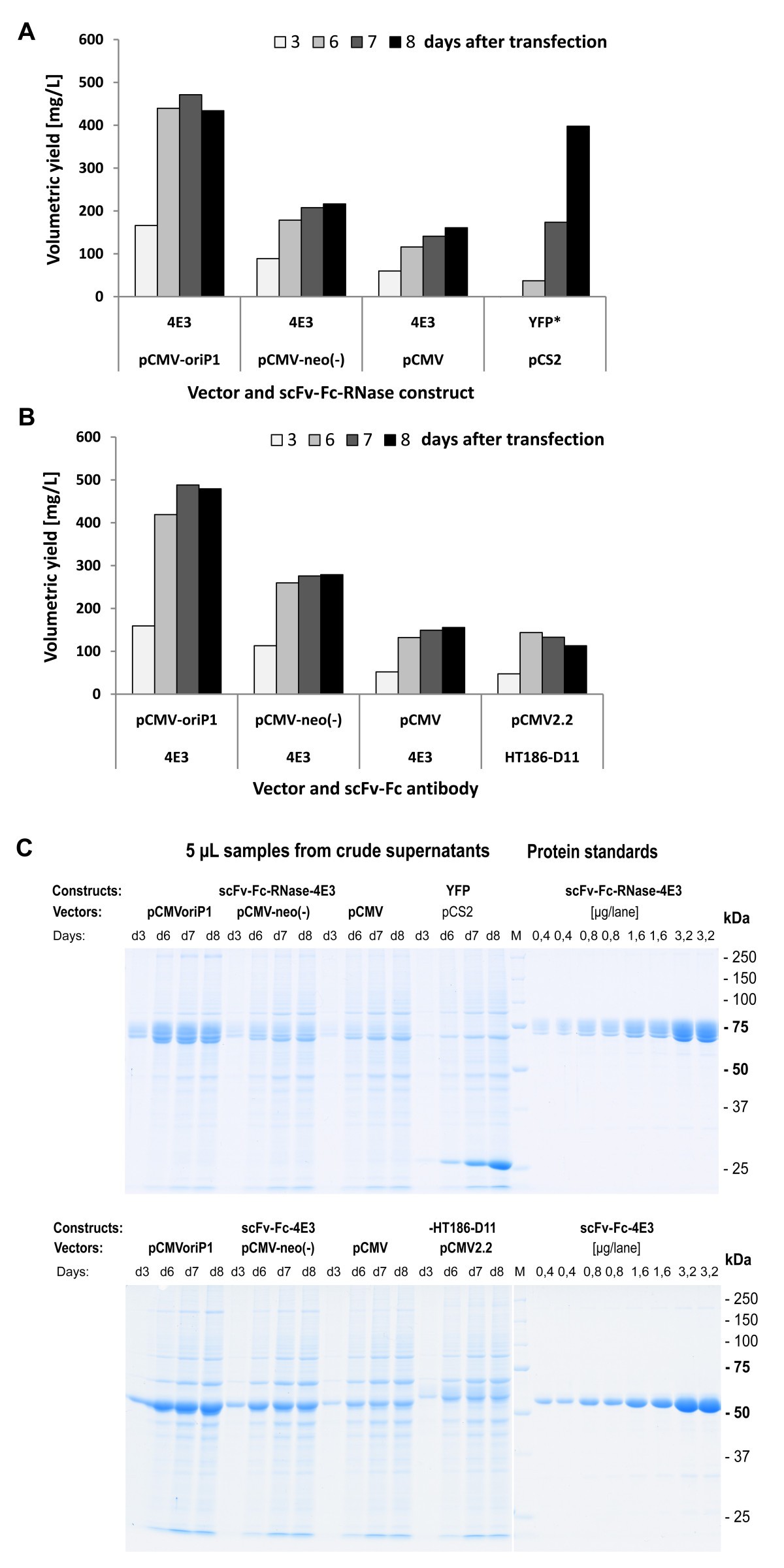 High level transient production of antibodies and antibody