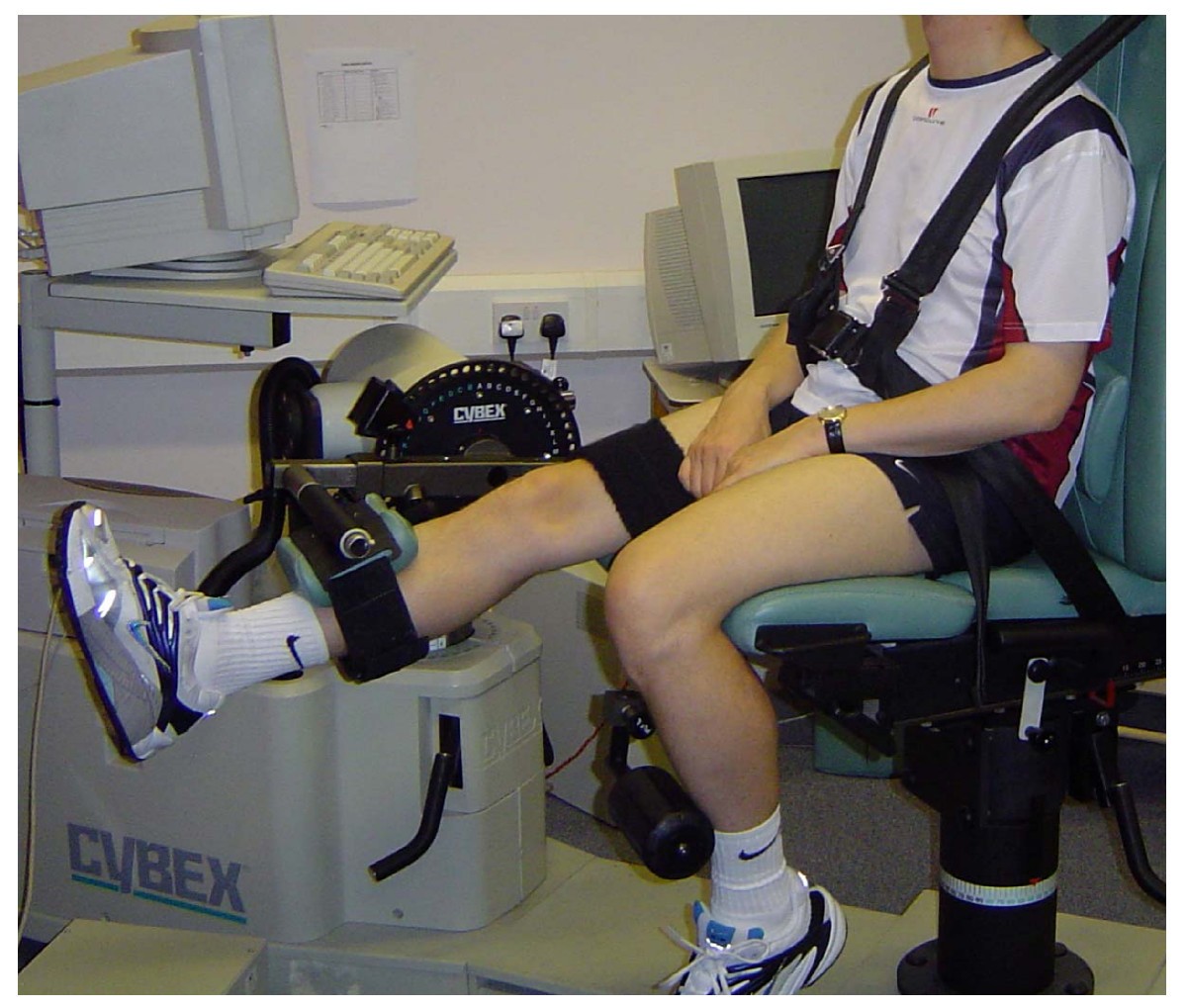 Use of a Cybex NORM dynamometer to assess muscle function in patients