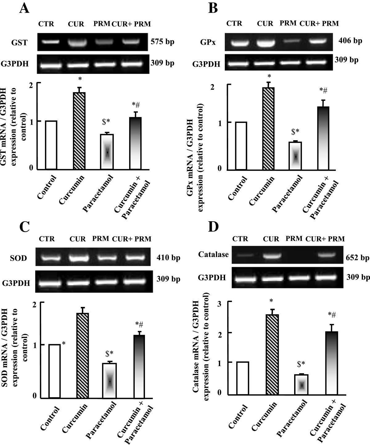 paracetamol for rats on molecular protective and study Immunohistochemical the