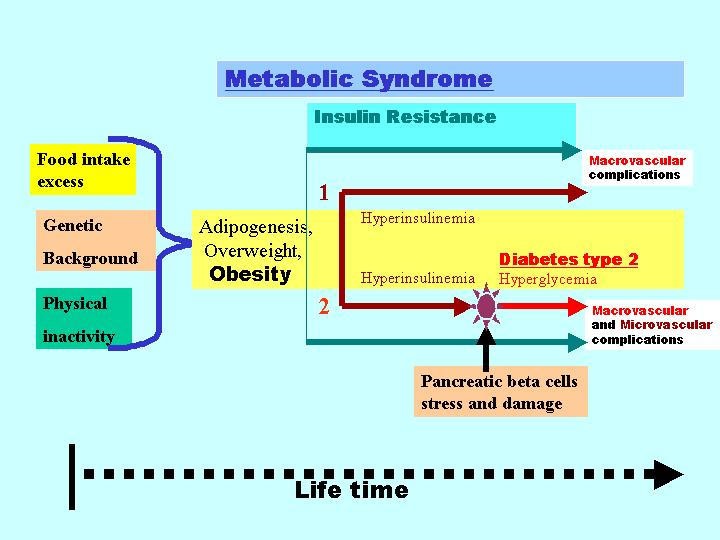 Metabolic syndrome and type 2 diabetes mellitus: focus on peroxisome