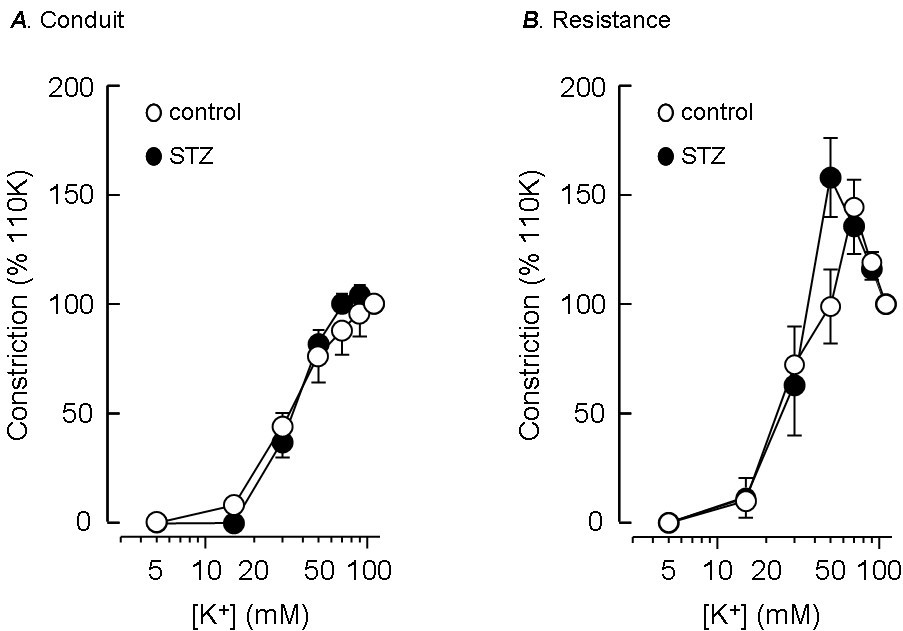 Effects of streptozotocininduced diabetes on the pharmacology of rat