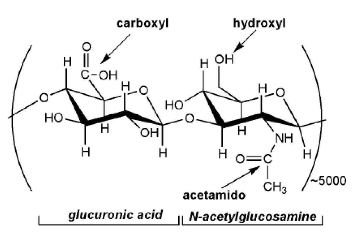 Microbial Production Of Hyaluronic Acid: Current State, Challenges, And ...