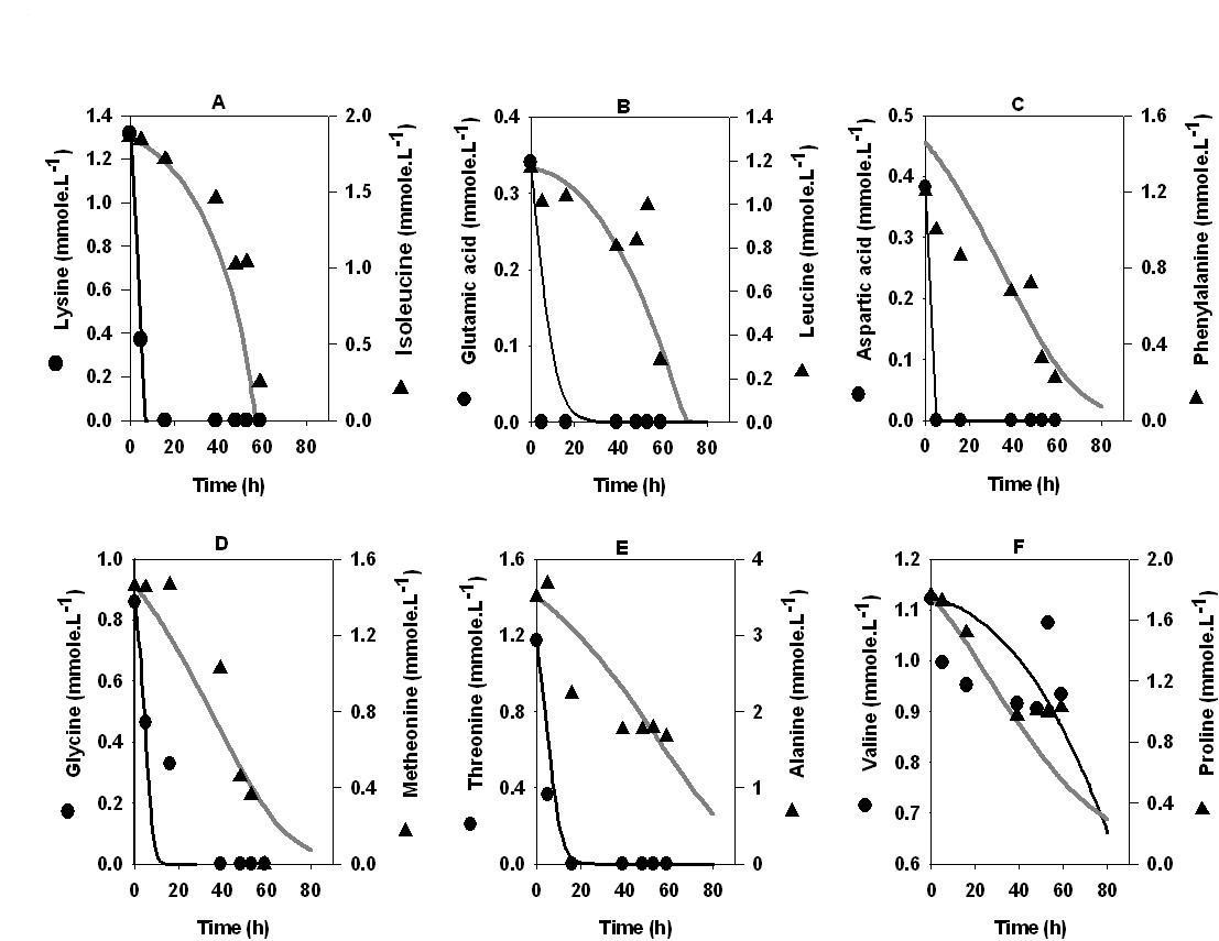Hierarchical amino acid utilization and its influence on fermentation ... - 12934 2006 Article 96 Fig1 HTML