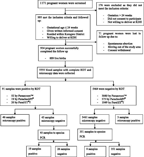 Reliability of rapid diagnostic tests in diagnosing pregnancy