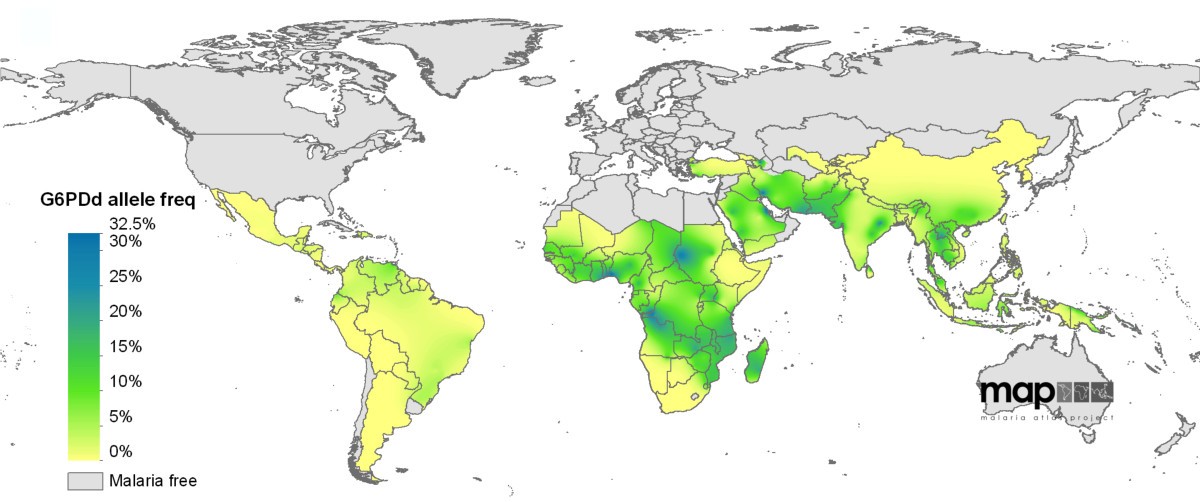 Review of key knowledge gaps in glucose6phosphate dehydrogenase