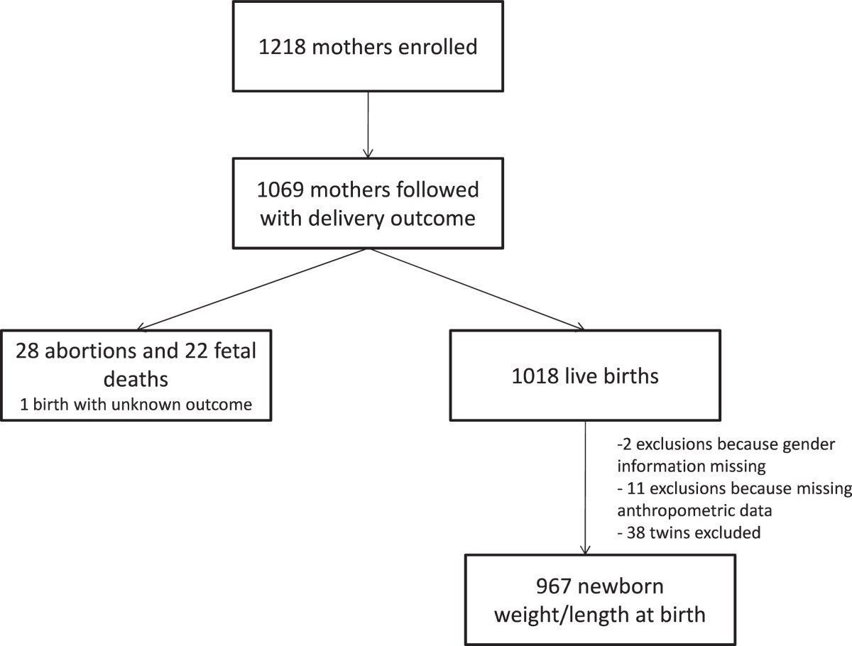 Impact of malaria during pregnancy on pregnancy in a Ugandan