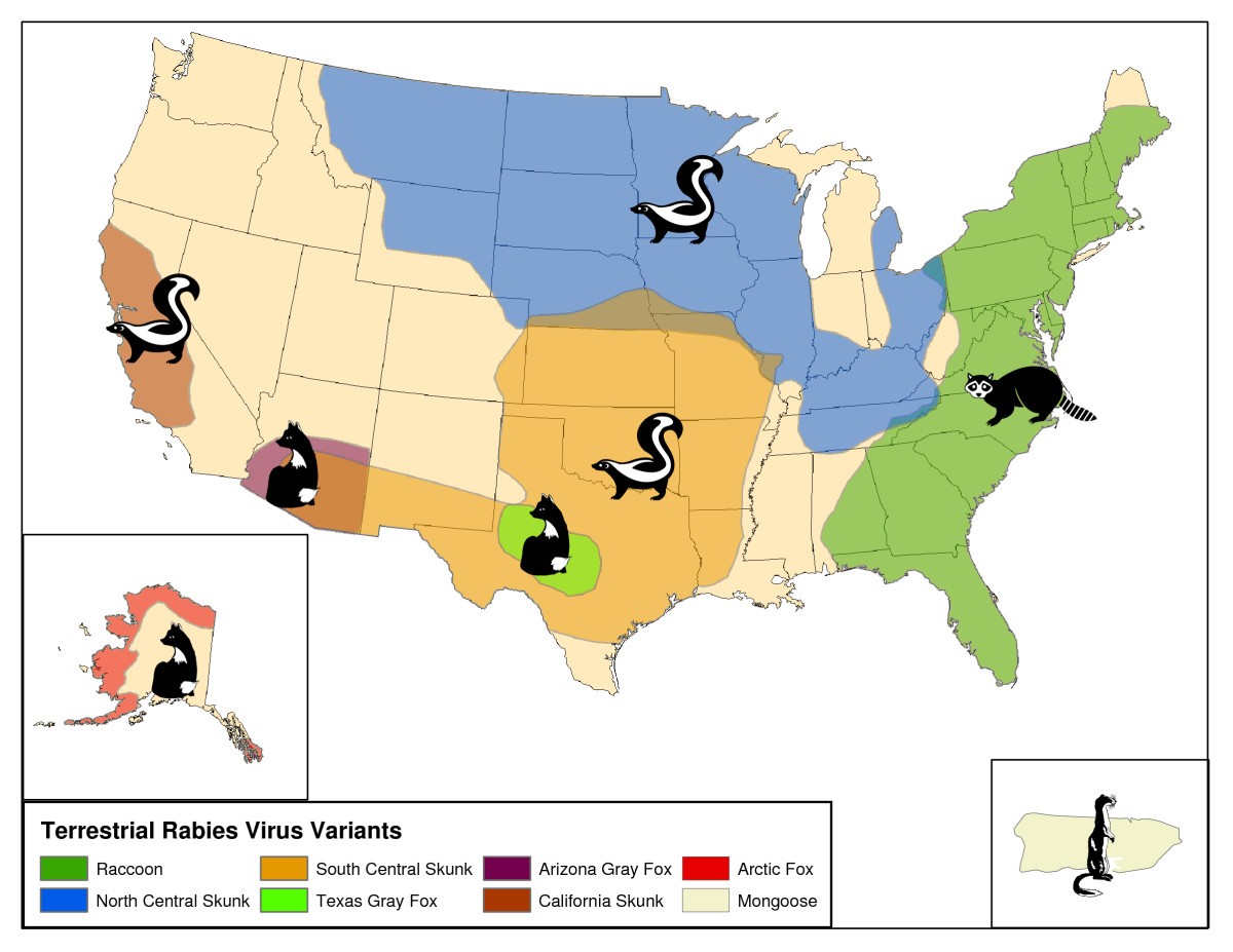 Development of a GIS based real time - 12942 2006 Article 124 Fig1 HTML