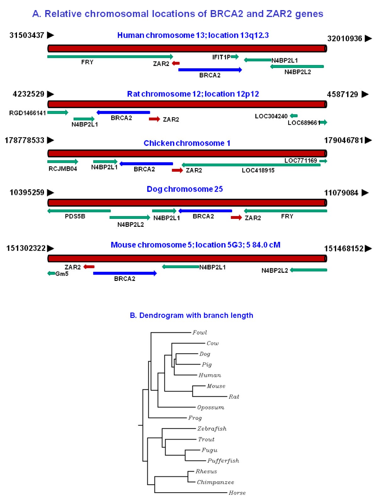 JapaneseClass.jp Biology Diagrams
