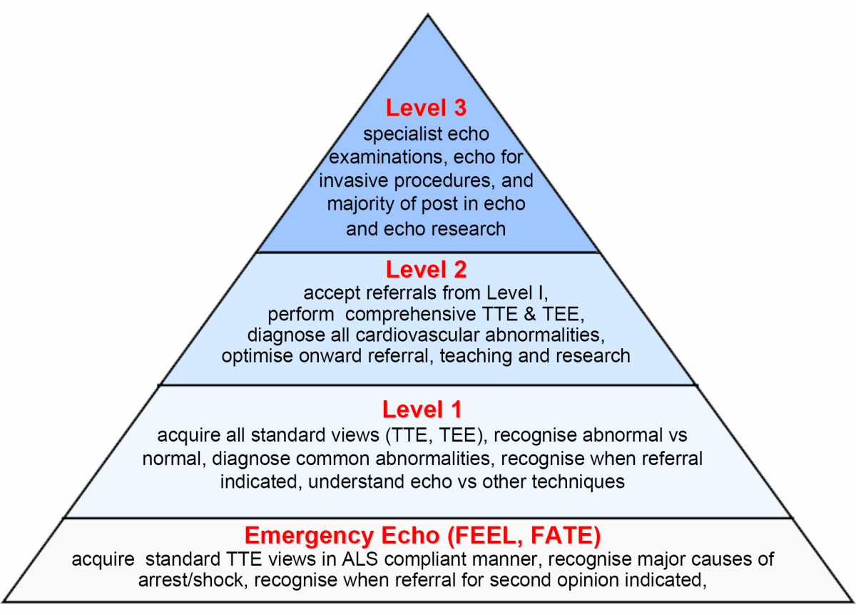 Echocardiography practice, training and accreditation in the intensive