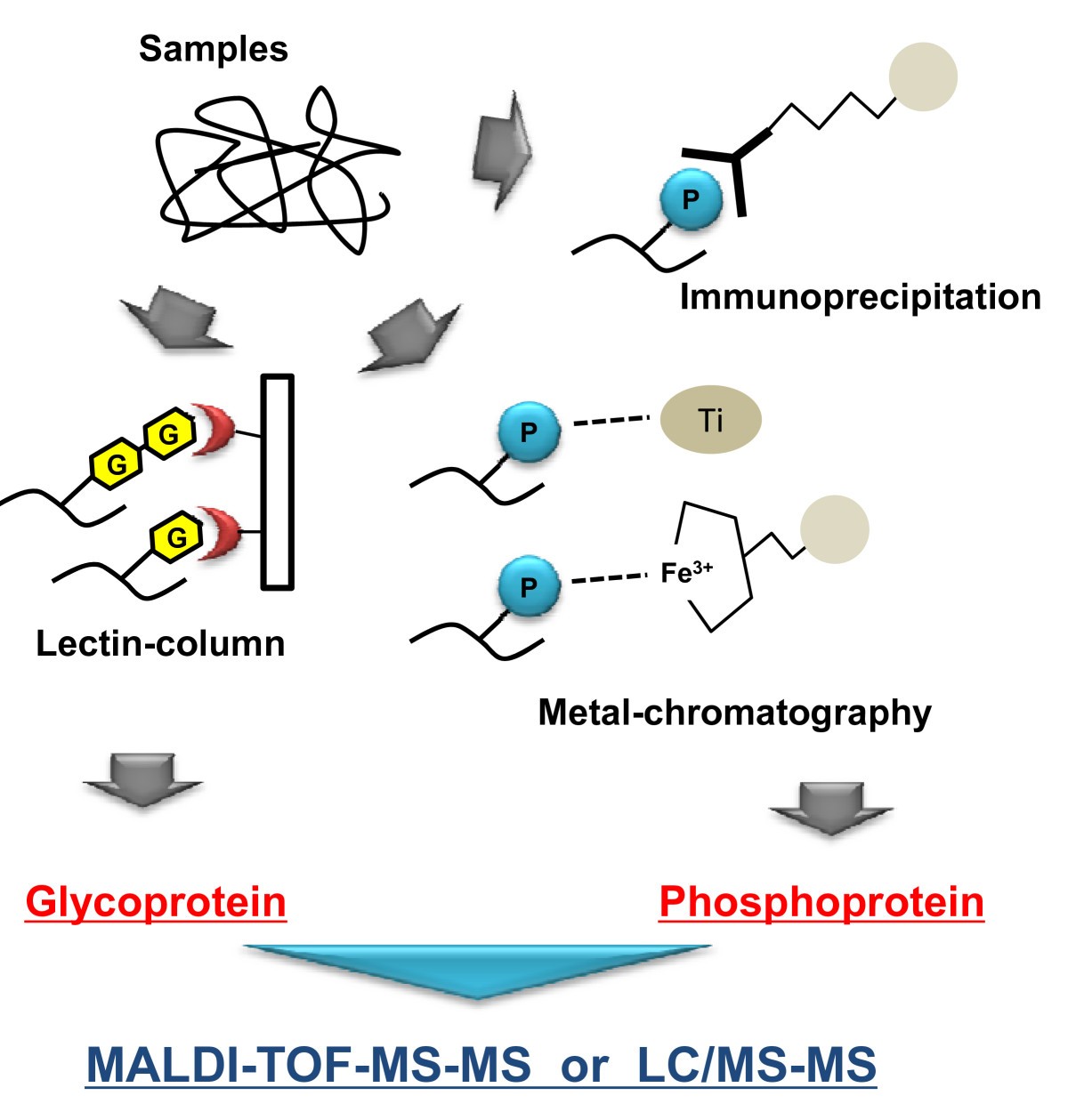 Clinical Proteomics For Liver Disease: A Promising Approach For ...