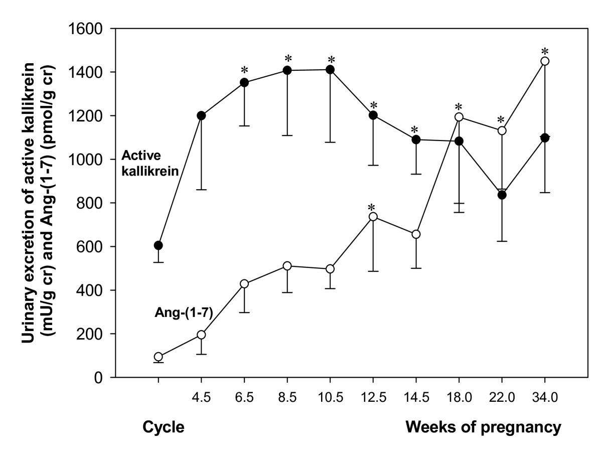 Vasodilator factors in the systemic and local adaptations to pregnancy