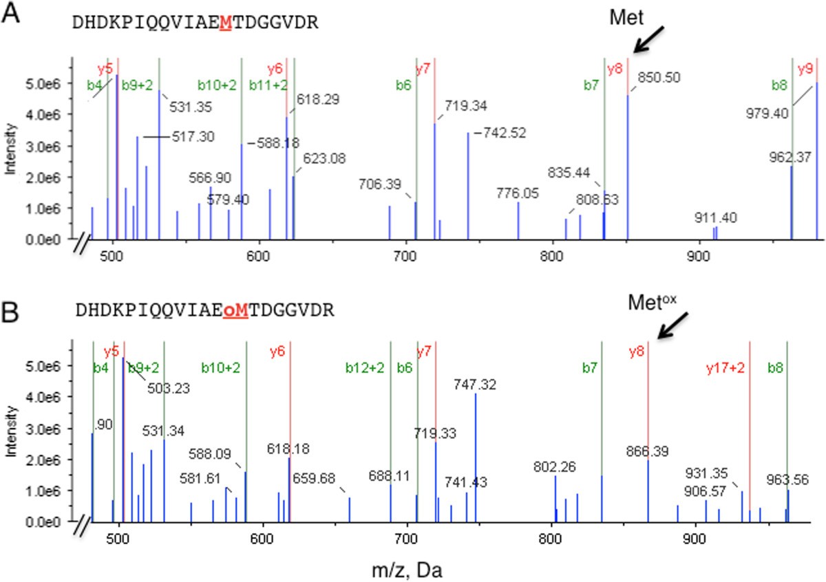 Structural and functional characteristics of cGMPdependent methionine