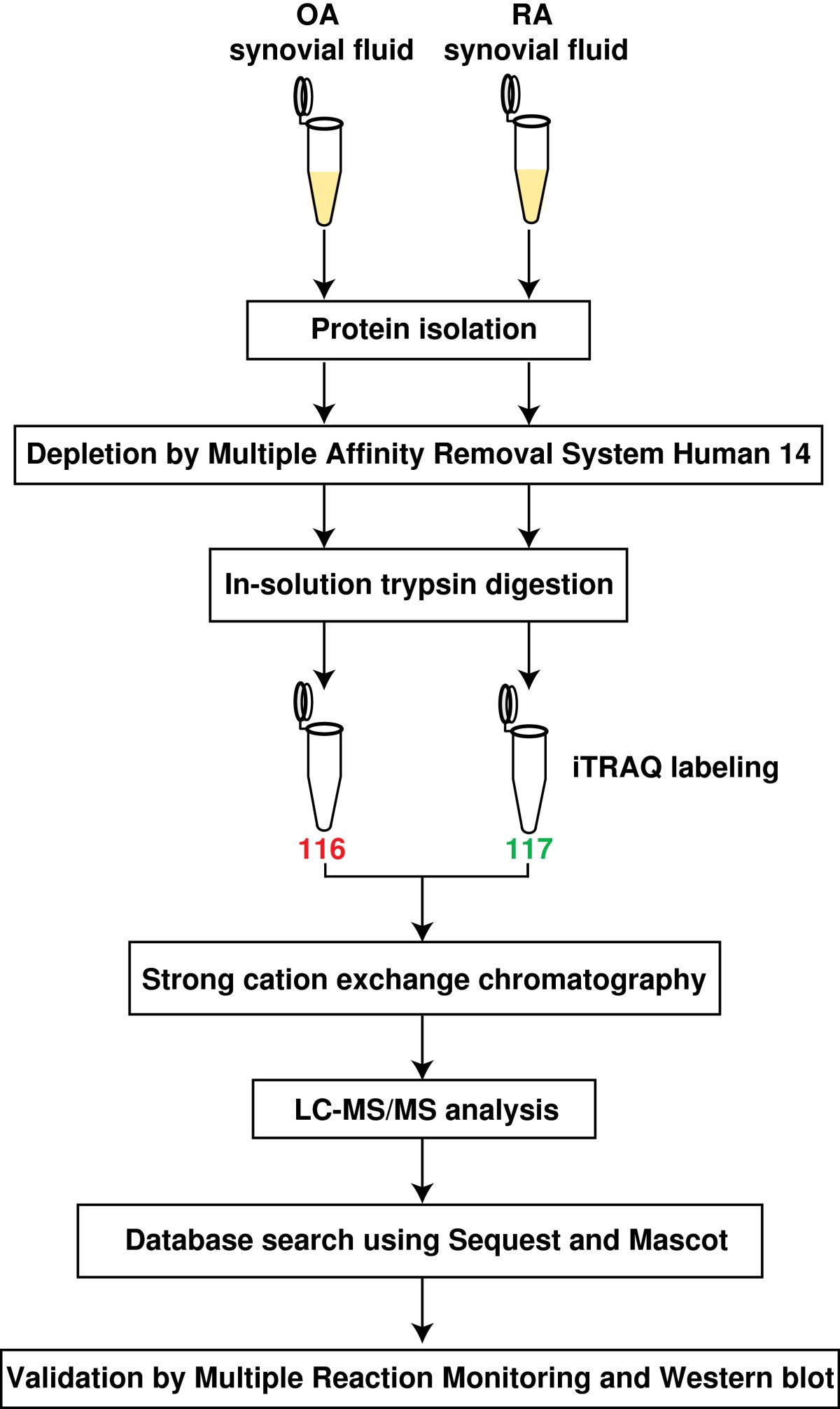 Differential proteomic analysis of synovial fluid from rheumatoid