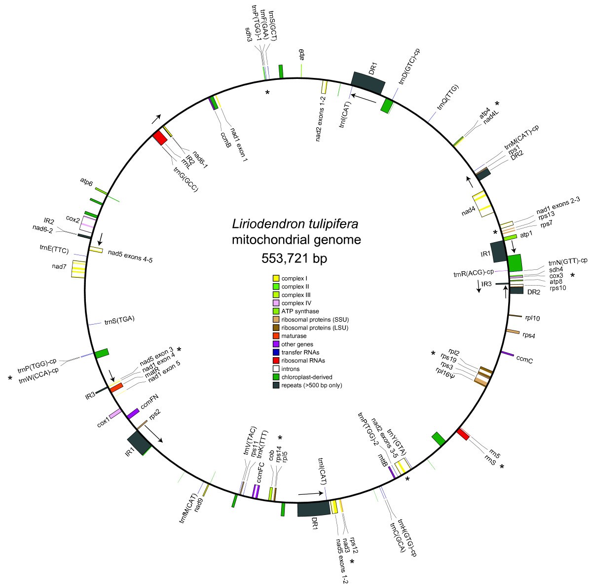 mitochondrial dna sequence analysis mitochondrial dna sequence analysis