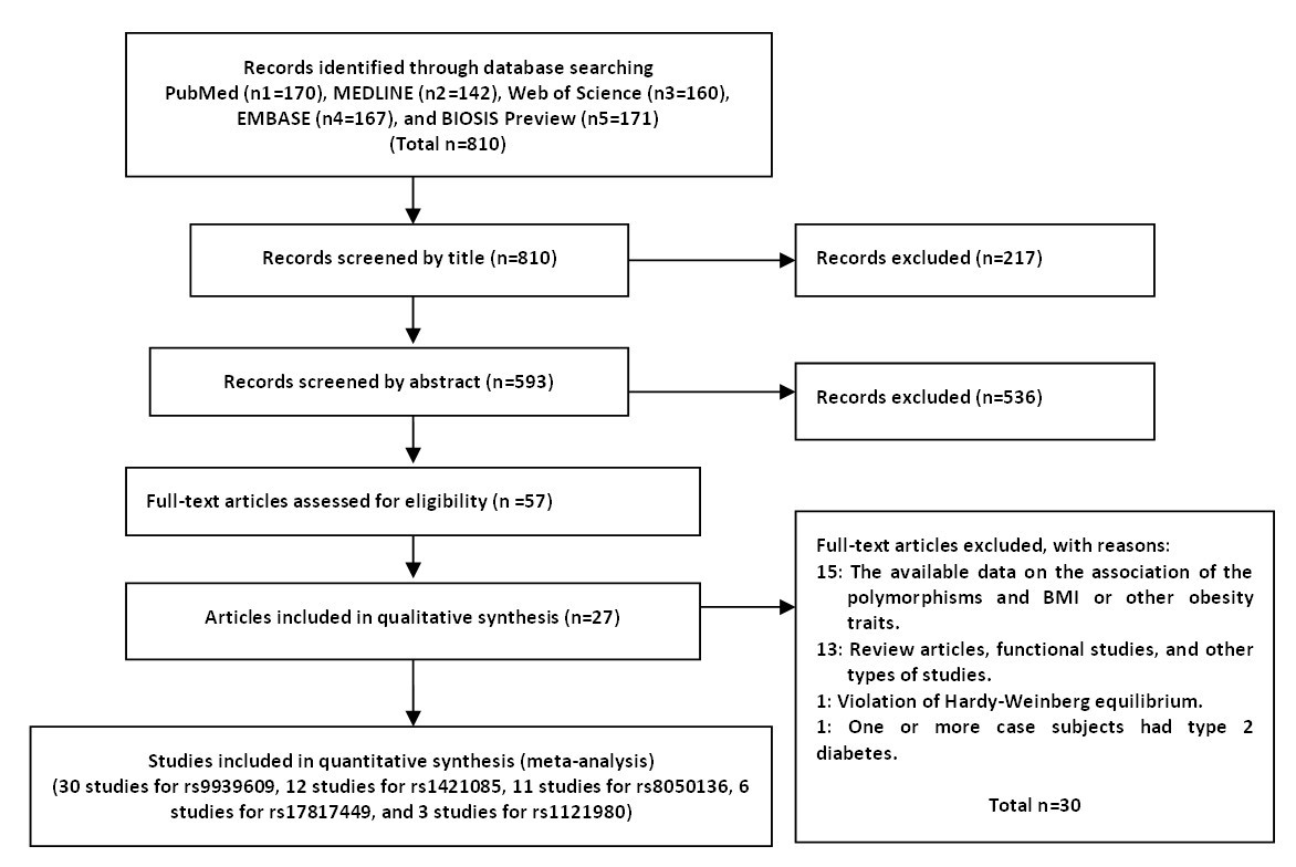 FTO gene polymorphisms and obesity risk: a meta-analysis | BMC Medicine