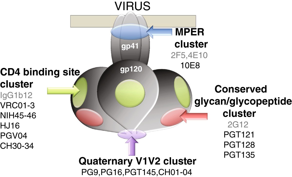 Development of prophylactic vaccines against HIV1 Retrovirology