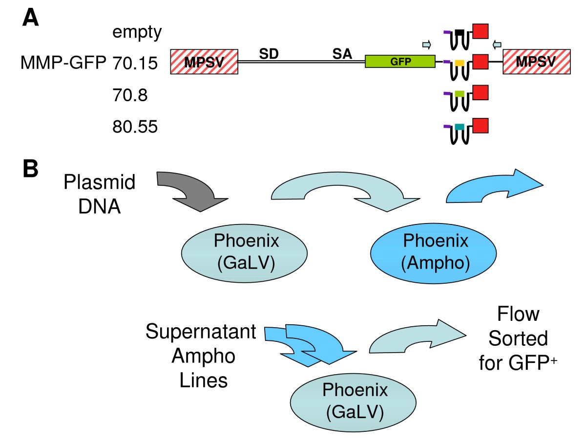 Instability of retroviral vectors with HIV-1-specific RT aptamers due
