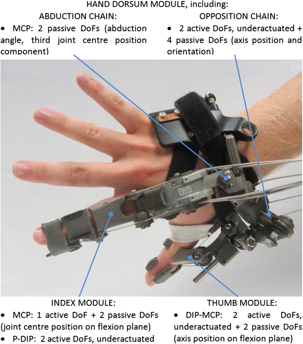 Analysis of relative displacement between the HX wearable robotic