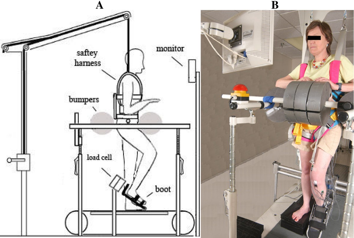 Quantification of functional weakness and abnormal synergy patterns in