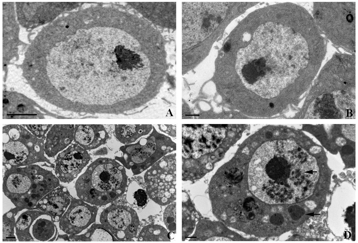 Transcriptional profiling of Drosophila S2 cells in early response to Drosophila C virus