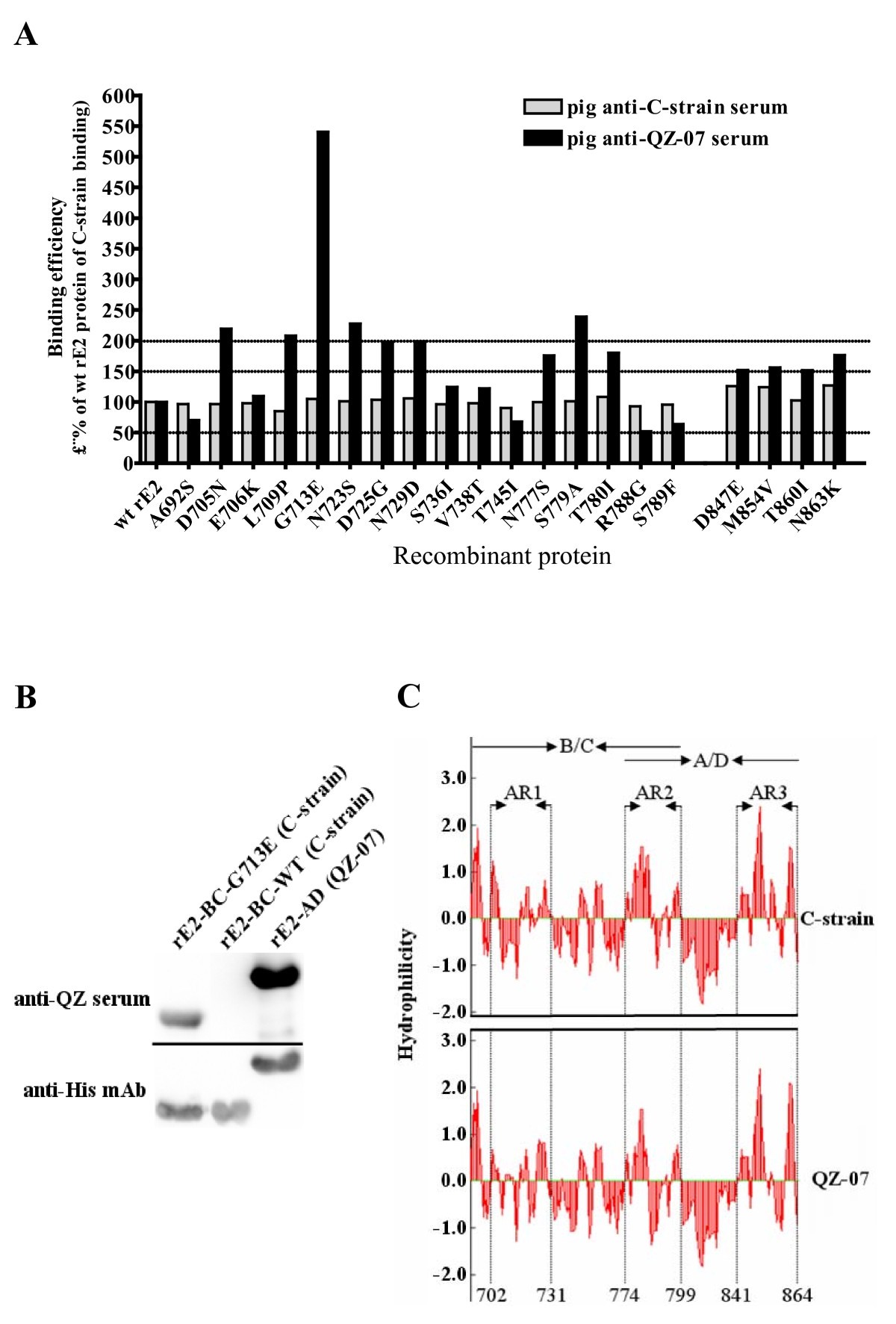 Antigenic analysis of classical swine fever virus E2 glycoprotein using