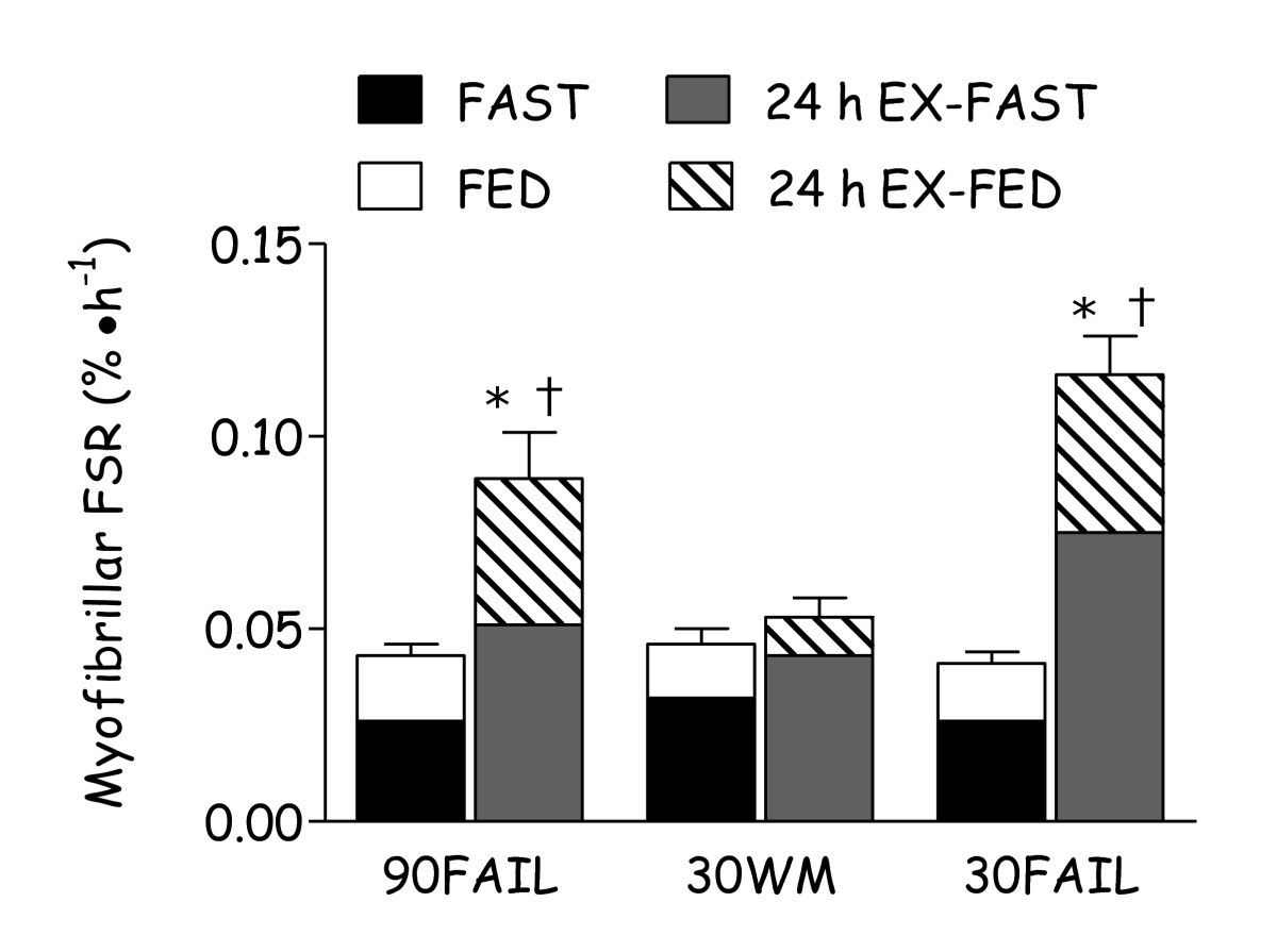 Nutritional regulation of muscle protein synthesis with resistance