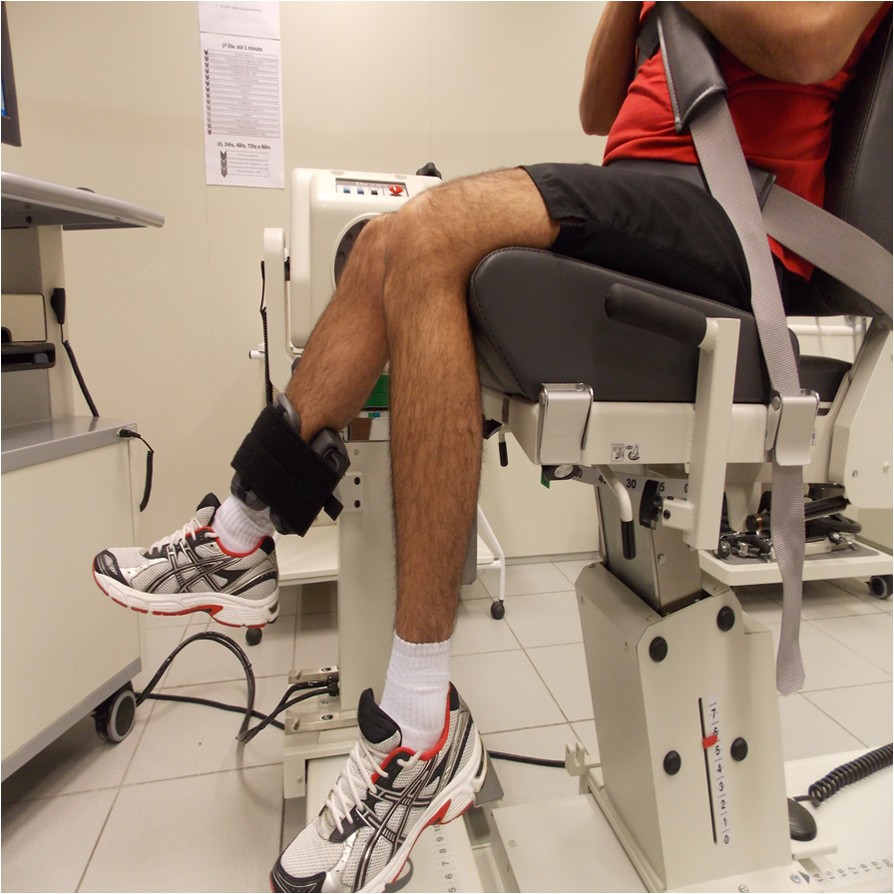 Efficacy of preexercise lowlevel laser therapy on muscle