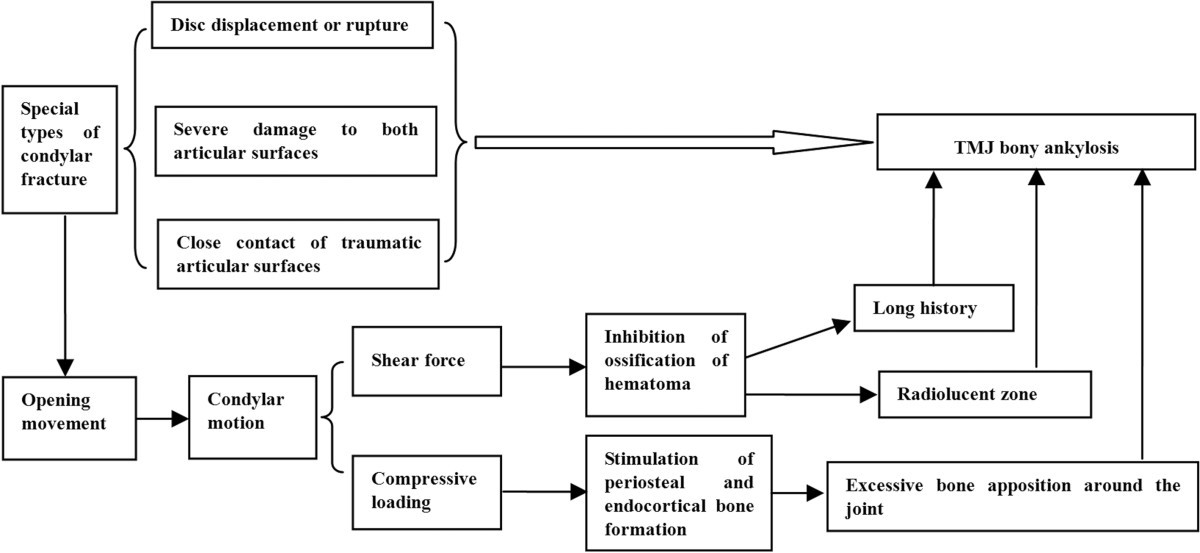 Current concepts in the pathogenesis of traumatic temporomandibular ...