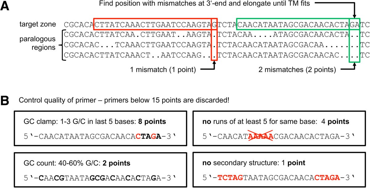 designing primers using amplifx designing primers using amplifx
