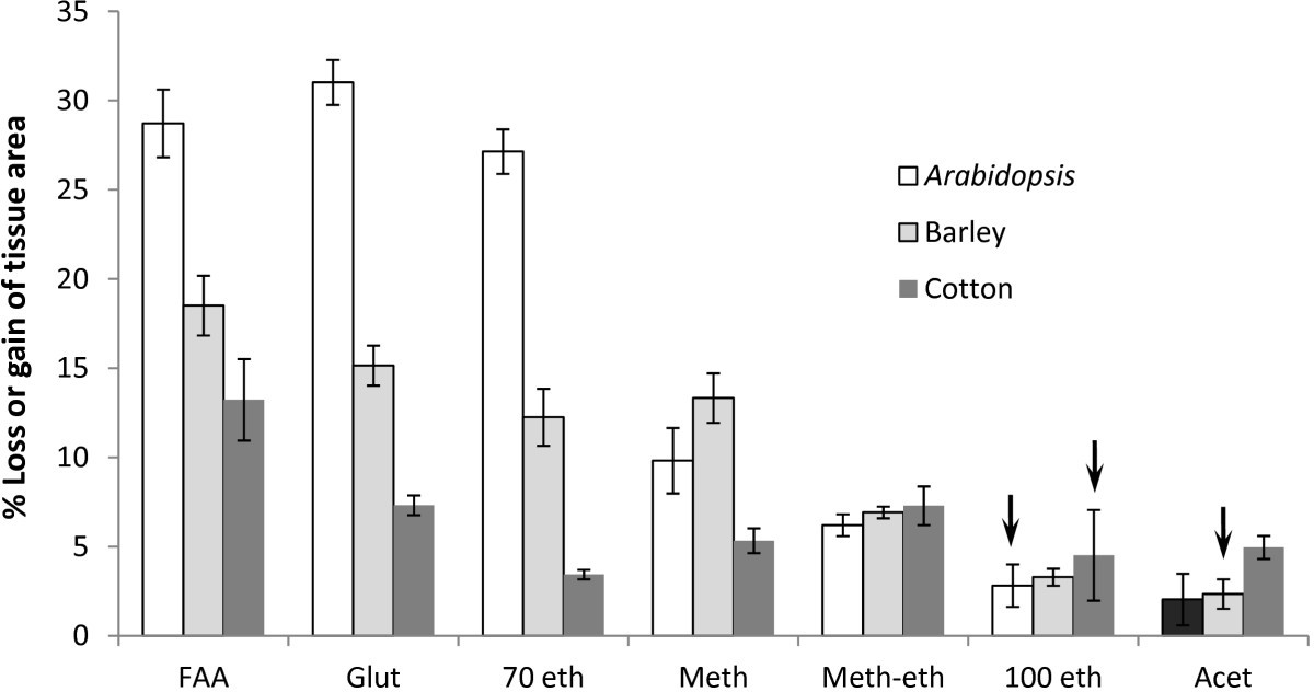 Methanol fixation of plant tissue for Scanning Electron Microscopy improves preservation of