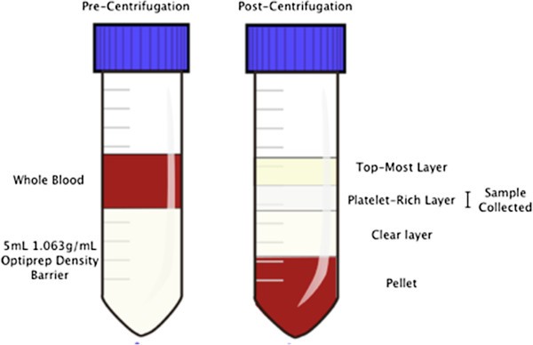Ultra-pure platelet isolation from canine whole blood | BMC Veterinary
