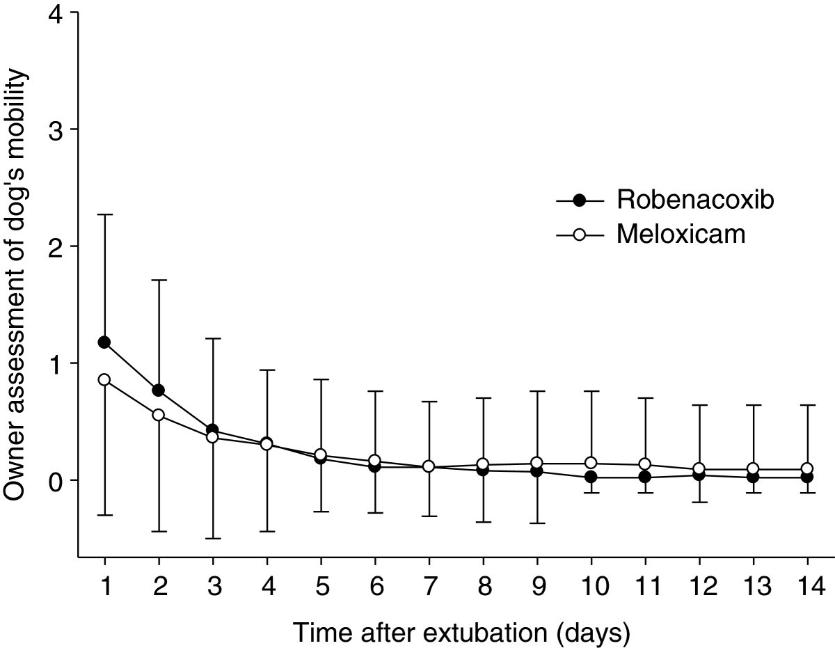 gabapentin vs metacam