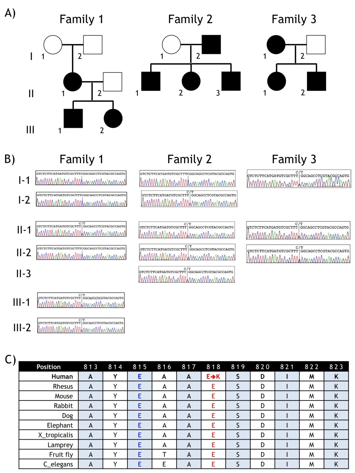 A novel recurrent mutation in ATP1A3 causes CAPOS syndrome Journal of Rare Diseases